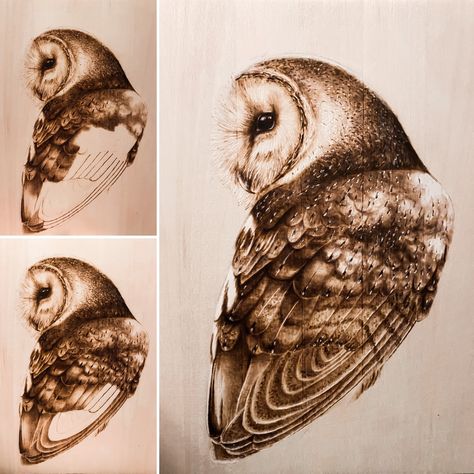 Wood Burned Barn Owl piece work in progress. This is what the piece looked like as I was finishing it up. The wings really bring this beautiful guy to life! Owl Wood Burning, Wood Craft Patterns, Hobby Ideas, Wood Burning Crafts, Owls Drawing, Carving Art, Wood Burning Art, Wood Burner, Wood Carving Art