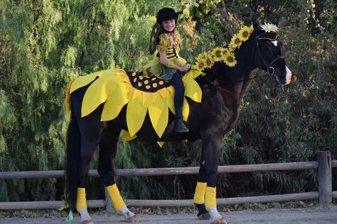 Horse Costumes Ideas, Diy Horse Halloween Costumes, Equine Halloween Costumes, Horse And Human Halloween Costumes, Horse Costume Class Ideas, Horse Halloween Costumes Ideas, Pony Costumes Horses, Horse And Rider Costume Ideas, Black Horse Costumes