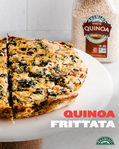 Quinoa Omelette, Quinoa Frittata, Recipe Quinoa, Couscous Salad Recipes, Orzo Salad Recipes, White Quinoa, Quinoa Recipe, Frittata Recipe, Frittata Recipes