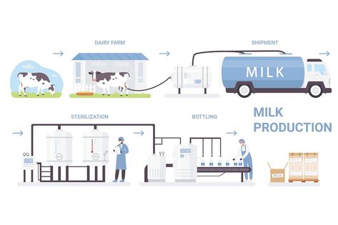 Daily Milk, Milk Processing, Poster Food, Dairy Industry, Dairy Cattle, Farm Business, Logistics Management, Infographic Poster, Erp Software