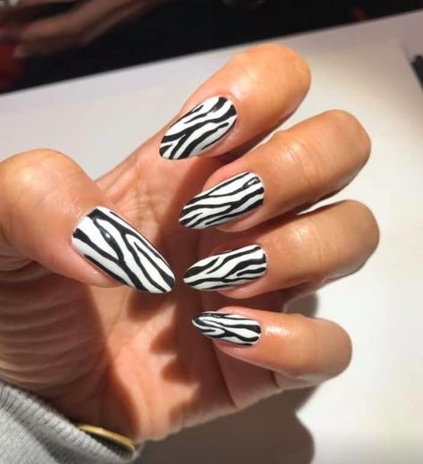 Zig Zag Nails, Zebra Nail Art, Zebra Print Nails, Zebra Nails, Nail Designs Valentines, Latest Nail Art, Trendy Nail Design, Nail Nail, Design Nail