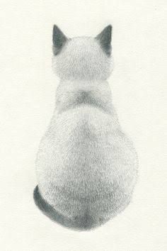 drawing of cat from behind Beautiful Pencil Drawings, Cats Drawing, Drawing Faces, Watercolor Cat, Cat Eyes, Cats Illustration, Arte Animal, Drawing Tutorials, Siamese Cats