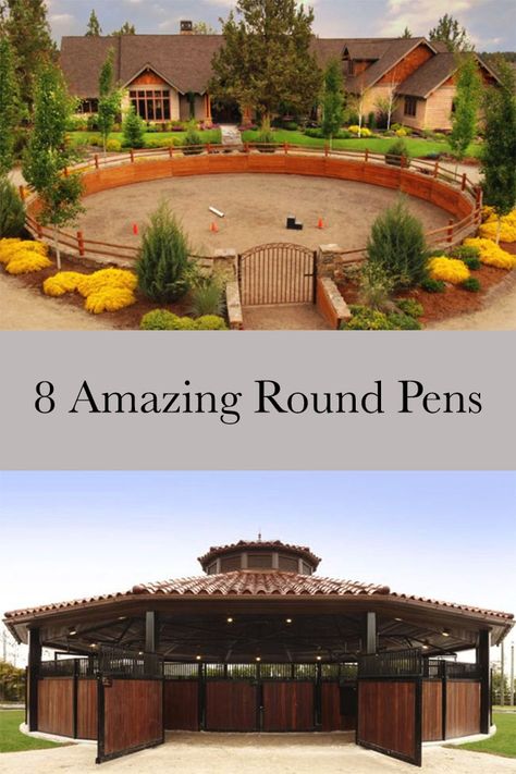 These round pens are dreamy, practical, and anything but boring. Round Pens For Horses, Cai Arabi, Dream Barn Stables, Hotel Pet, Stable Style, Horse Farm Ideas, Horse Barn Ideas Stables, Horse Barn Designs, Horse Arena