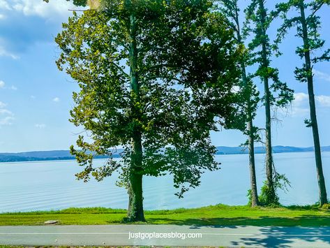 25 Fun Things To Do in Guntersville AL (and in greater Marshall County Alabama)! Guntersville Alabama Things To Do, Albertville Alabama, Guntersville Alabama, Outside Activities, Road Trippin, Water Park, State Park, Travel Usa, Fun Things