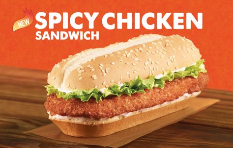 Mc Chicken, Spicy Sandwich, Spicy Chicken Sandwich, Hamburger And Fries, Spicy Chicken Sandwiches, Food Chains, Chicken Burger, Chicken Patties, Food Fantasy