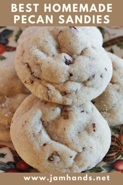 Indulge in the best homemade pecan sandies. These buttery cookies with chopped pecans and a crisp texture are perfect for the holiday season. Pecan Sandies Cookies Recipes, Pecan Sandies Cookies, Sandies Cookies, Christmas Cookies Recipe, Pecan Sandies, Cookies Icing, Recipes Pork, Pecan Cookies, Recipes Italian