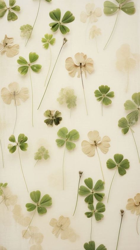 Queen Of Tears Four Leaf Clover, Four Leaf Clover Wallpaper Aesthetic, Clover Aesthetic Wallpaper, Clover Leaf Wallpaper, Clover Wallpaper Aesthetic, Lucky Clover Wallpaper, Clover Wallpaper Iphone, Four Leaf Clover Aesthetic, Four Leaf Clover Wallpaper