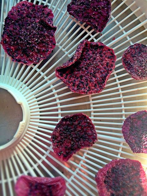 Passionately Raw! - Red Dragon Fruit Chips #rawfood #dehydrator Dehydrating Vegetables, Roselle Hibiscus, Hylocereus Undatus, Canning Granny, Pitaya Fruit, Fruit Chips, Red Dragon Fruit, Canning 101, Freeze Dryer