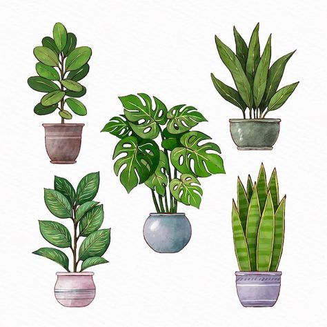 Hand painted watercolor houseplant colle... | Free Vector #Freepik #freevector #house-plant #plant #watercolor-plants #green-plant Lukisan Pokok, Gambar One Direction, Plant Study, Interior Architecture Drawing, نباتات منزلية, Watercolor Plants, Floral Drawing, Plant Painting, Plant Drawing