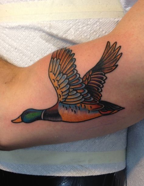 Cottage Core Traditional Tattoo, American Traditional Duck Tattoo, Nature American Traditional Tattoo, Mallard Tattoo, Traditional Nature Tattoo, Rob Tattoo, Bean Tattoo, Coyote Tattoo, Tattoo Birds