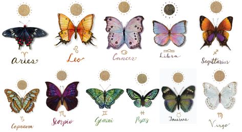 Try to find your Zodiac sign and coment what it is. <3 Zodiac Butterfly Tattoo, Zodiac Butterflies, Zodiac Butterfly, Zodiac Vibes, Find Your Zodiac Sign, Unique Butterfly Tattoos, Horoscope Tattoos, Unique Butterfly, Miniature Set