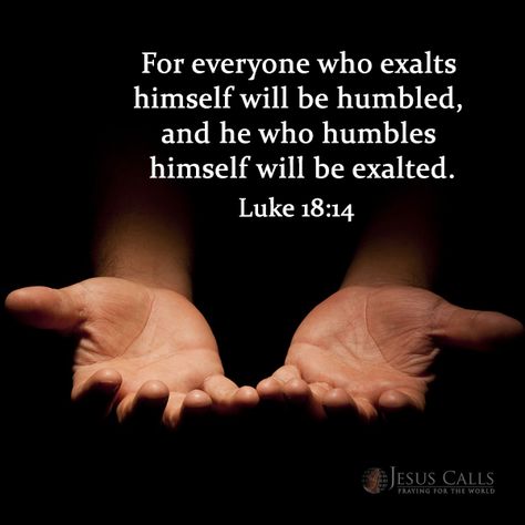 For everyone who exalts himself will be humbled, and he who humbles himself will be exalted. Luke 18:14 He Who Humbles Himself Will Be Exalted, Transforming Quotes, Transformation Quotes, Marriage Life, Verses Quotes, Powerful Words, Verse Quotes, Bible Verses Quotes, Word Of God