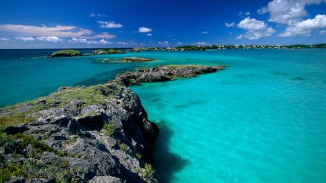 Sargasso Sea, Ocean Acidification, Ocean Science, University Of Manchester, Marine Ecosystem, Atlantic Ocean, The Atlantic, Planet Earth, Marine Life