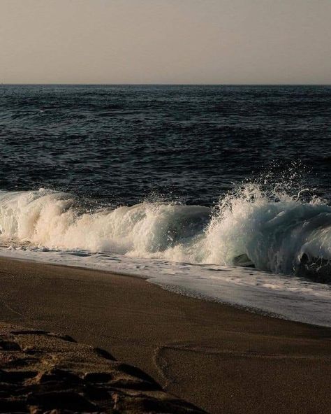 The Ocean, The Beach