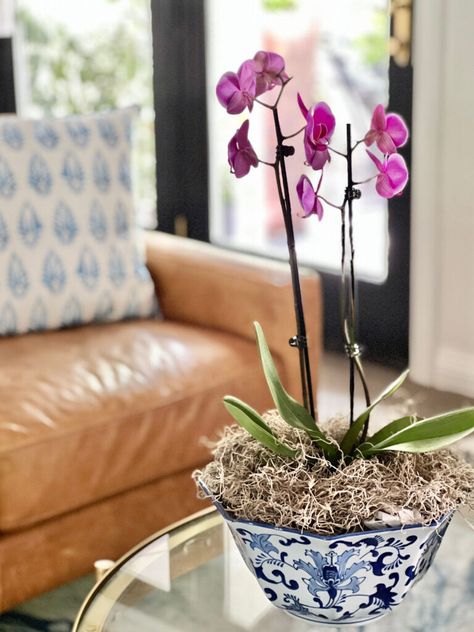 diy orchid planter ideas: A purple orchid arranged in a blue and white chinoiserie bowl. Diy Orchid Planter, Orchid Planter Ideas, Orchid Bowl, Diy Orchids, Orchid Plant Care, Orchid Roots, Orchid Planters, Orchid Bark, Simple Projects