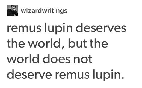 Remus Lupin Moony, Lupin Aesthetic, Aesthetic Marauders, Remus Lupin Aesthetic, Repeat After Me, Peter Pettigrew, Harry Potter Fanfiction, All The Young Dudes, Harry Potter Marauders