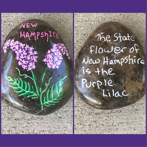 State flower painted rocks. New Hampshire. Purple Lilac Flower Painted Rocks, Lilac Paint, Rock Painting Tutorial, Paint Rocks, Paint Rock, Indoor Activities, Purple Lilac, Anniversary Bands, Third Grade