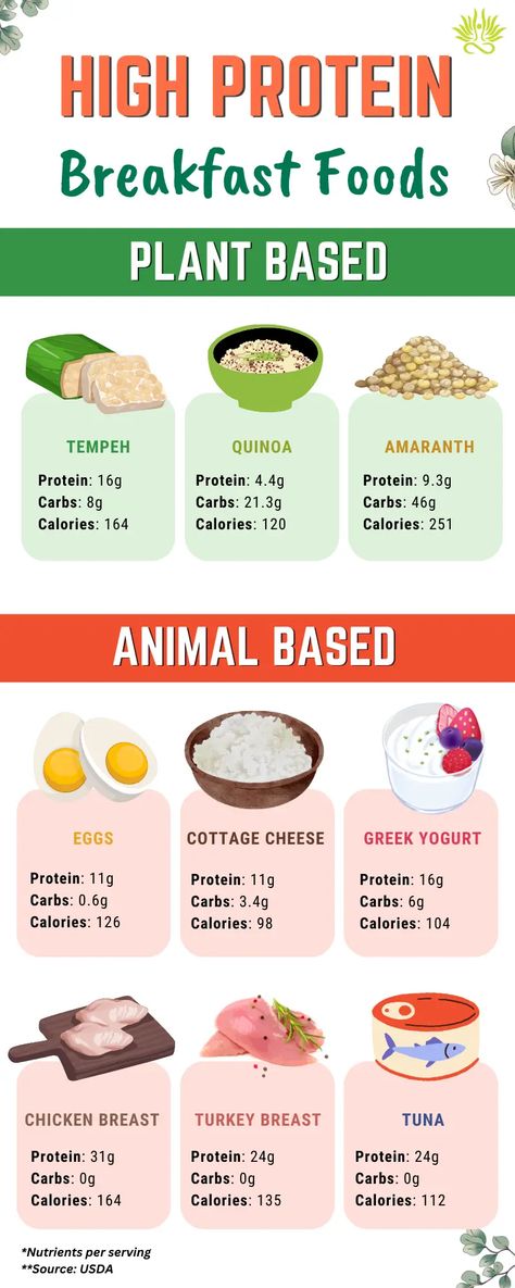 A Nutritionist's Top Picks for 40g Protein Breakfast Ideas 30g Protein Breakfast, Protein For Breakfast, Vegan Protein Breakfast, High Protein Breakfast Ideas, Protein Breakfast Ideas, 40g Protein, Protein Breakfast Smoothie, High Protein Yogurt, Vegan Breakfast Options