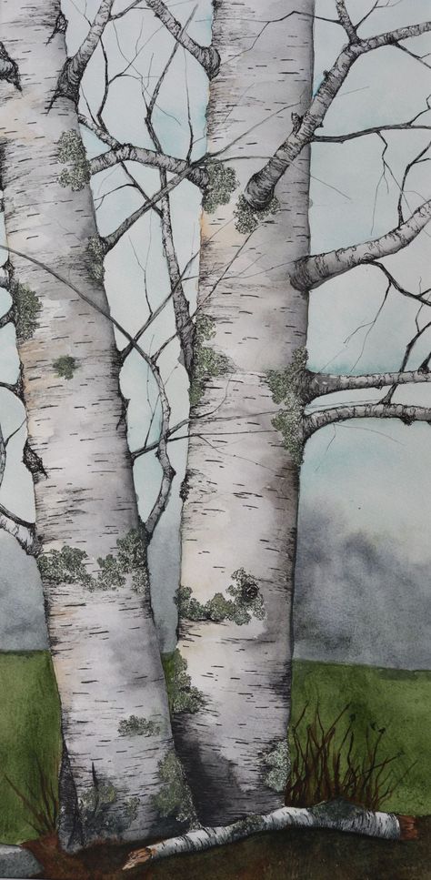 Original Watercolors - Amy Hook-Therrien Birch Tree Watercolor, Birch Trees Painting, Birch Trees Landscaping, Tree Watercolor Painting, Birch Tree Art, Tree Drawings Pencil, Birch Tree Painting, Tree Watercolor, Signs Of Spring