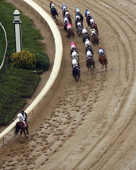 Trail Horse, Derby Time, Thoroughbred Racehorse, Famous Horses, Derby Winners, Derby Horse, Run For The Roses, Thoroughbred Horse Racing, Race Horse