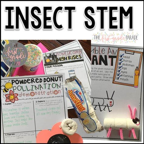 All About Insects - Part 2 (Bees and Ants) - The First Grade Parade Adaptations Anchor Chart, Two Bad Ants, Ants Activities, First Grade Parade, Insects Preschool, 1st Grade Activities, Vocabulary Instruction, Small Group Reading, Organized Teachers