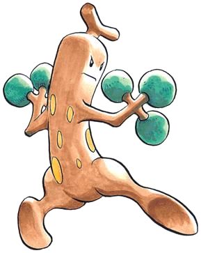 Emerald - Sudowoodo Plant Pokemon, Pokémon Gold And Silver, Intriguing Art, Pokemon Heart Gold, Pokemon Human Form, Cartoon Art Drawing, Pokemon Project, Pokemon Official, Pokemon Sketch