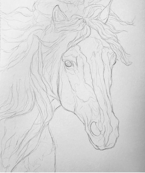 Horse Head Sketch Simple, Horse Head Sketch, Horse Stretches, Horse Lineart, Sketch Simple, Head Sketch, Pencil Drawings Of Animals, Pen Art Drawings, Sketchbook Drawings