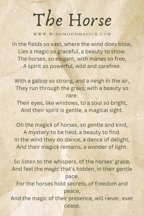 Horses have been an important symbol in many cultures and spiritual traditions throughout history. These magnificent creatures are often associated with strength, power, and freedom. Here are some of the ways in which horses are valued by modern witches, and the magical characteristics that they embody. Horse Poems, Horse Spirit Animal, Horse Healing, Spirit Animal Meaning, Animal Meanings, Inspirational Horse Quotes, Moon Magick, Water Witch, Pranic Healing