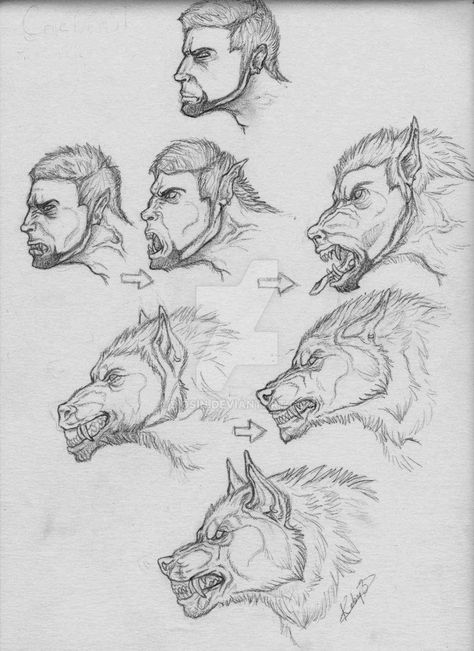 Wolf Transformation, Werewolf Transformation, Werewolf Drawing, Art Du Croquis, Some Sketches, Werewolf Art, Buku Skrap, Makeup Eyes, Mythical Creatures Art