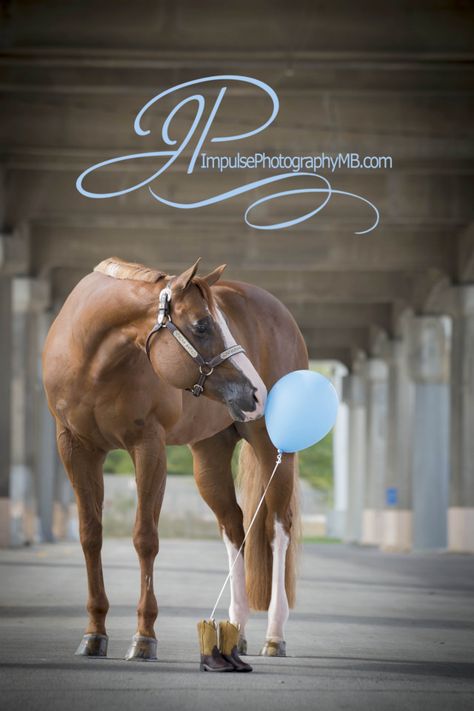 Baby Announcement Winter, Pictures With Horses, Fun Baby Announcement, Baby Announcement Pictures, Foto Baby, Baby Cowboy, Baby Gender Reveal, Reveal Ideas, Shooting Photo