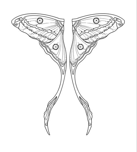 Luna Moth Fairy Wings, Transparent Butterfly Wings, Fairy Wings Tattoo Stencil, Luna Moth Wings Tattoo, Butterfly Wings Drawing Reference, Fairy Moth Wings, Luna Moth Stencil, Moth Wing Design, Moth Wing Drawing Reference