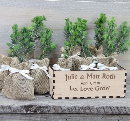 Tree Seedlings Wedding Favors: Seeds of Life Tree Wedding Favors, Pine Tree Wedding, Pine Wedding, Wedding Present Ideas, Tree Seedlings, Ribbon Cards, Unique Easter, Life Tree, Seed Of Life