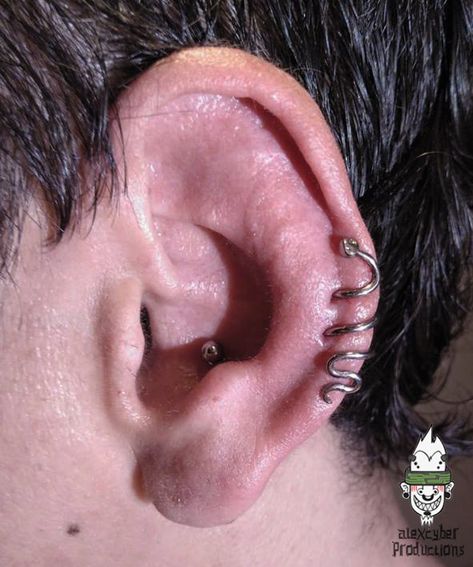 Double Low Helix Piercing, Low Helix Piercing, Snake Piercing, Helix Jewelry, Double Helix, Body Modification, Helix Piercing, Tattoo Inspo, Helix