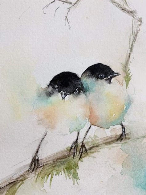 Bird Portrait, Birds Illustration, Valentines Watercolor, Painting Pastel, Bird Watercolor Paintings, Baby Birds, Watercolor Paintings For Beginners, Diy Watercolor Painting, Watercolor Ideas