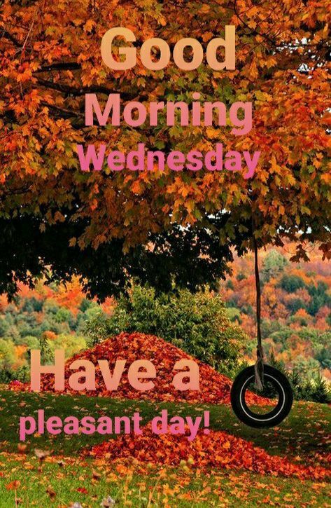 Work Related Quotes, Wednesday Coffee, Wednesday Morning Greetings, Wednesday Morning Quotes, Wednesday Greetings, Wacky Wednesday, Blessed Wednesday, Good Wednesday, Good Morning Wednesday