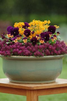 Fall Container Plants, Fall Container Gardens, Tanaman Pot, Fall Containers, Container Garden Design, Container Gardening Flowers, Fall Planters, Dogwood Trees, Meteor Garden 2018