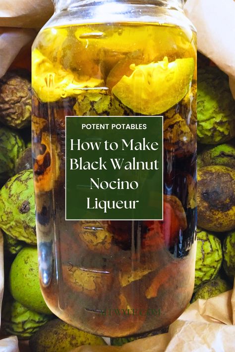 Today, we’re going to learn how to make nocino, your own black walnut (or English walnut) flavored liqueur! This greenish-tinged aged infused spirit has a complex flavor and makes a great aperitif or digestif. Best of all, it’s simple to make at home. The hardest part is harvesting the walnuts, and getting them at the right time. Read on to learn the secrets to making your own homemade batch of this tasty spirit! #mixology #homemadegift #bitters Nocino Liquore Recipe, Special Occasion Dinner, English Walnut, Seasonal Eating, Infused Vodka, Eat Seasonal, Gourmet Cooking, Homemade Breakfast, Professional Chef