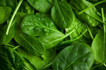 11 Dark Green Leafy Vegetable Recipes Foods High In Magnesium, Spinach Benefits, Ideas Videos, Vitamin K, Green Vegetables, Foods To Avoid, Leafy Greens, Green Energy, Gnocchi