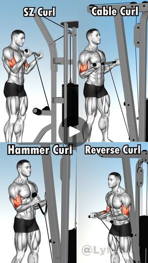 174K views · 1.1K reactions | Killer Biceps Exercises Variations 💪 | Lyfta - Gym Workout Tracker Biceps Exercises, Bicep Exercises, Reverse Curls, Bicep Workout, Workout Tracker, Hammer Curls, Cable Machine, Biceps And Triceps, Biceps Workout