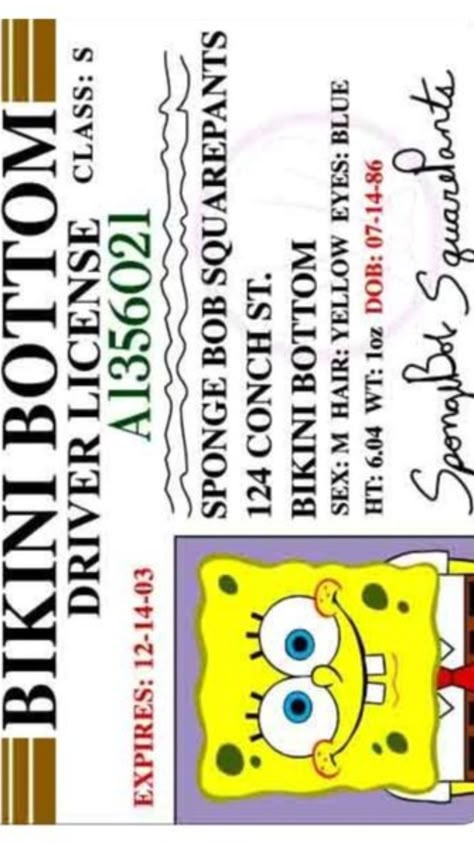 Cool Party Ideas, Spongebob Birthday Party, Birthday 21st, Clothing Labels Design, Spongebob Party, Spongebob Birthday, Paper Craft Videos, Spongebob Funny, Secret Box