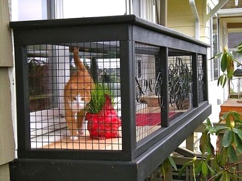 Diy Cat Enclosure, Katt Diy, Chat Diy, Cat Patio, Outdoor Cat Enclosure, Cat Run, Cat Cages, Cat Window, Cat Enclosure