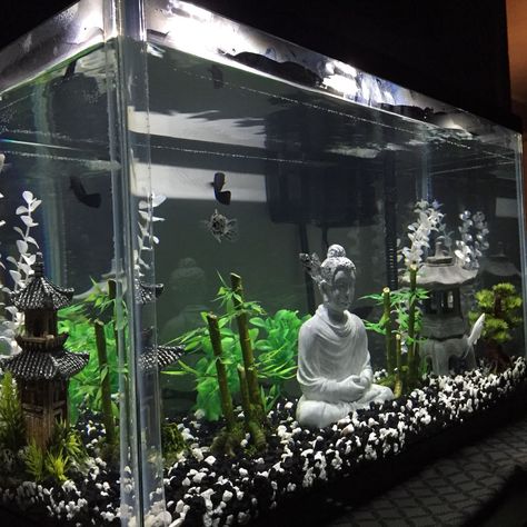 Buddha Aquarium, Axolotl Tank, 10 Gallon Fish Tank, Fish Tank Themes, Amazing Aquariums, Goldfish Tank, Fish Tank Terrarium, Cool Fish Tanks, Fish Tank Design