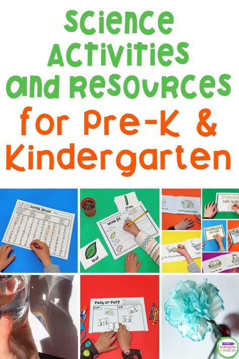 Between animal life cycles, parts of a plant, and planets and stars, science in Pre-K and Kindergarten classroom is so exciting! This collection of science activities and teacher resources includes engaging learning printables, simple science experiments, and even a fun craft! Grab these interactive kindergarten science resources today! Kindergarten Science Unit Studies, Science For Kindergarten, Preschool Science Lessons, Kindergarten Science Lessons, Free Science Printables, Activities For Kindergarten Children, Stars Science, Simple Science Experiments, Stem Activities Kindergarten