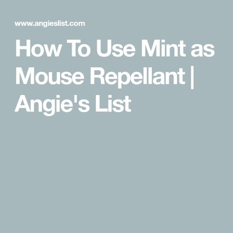 How To Use Mint as Mouse Repellant | Angie's List Mouse Repellent Sachets, Essential Oil For Mice Repellant, Mice Repellent Bags, Mice Repellent Sachet, Peppermint Spray For Mice, Peppermint Spray, Mice Repellent, Getting Rid Of Mice, Mint Plants