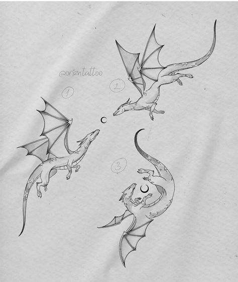 Dragon Fine Line Drawing, Tog Wyvern Tattoo, Dragon Lineart Tattoo, Girly Dragon Tattoo, A Court Of Thorns And Roses Tattoos, Delicate Dragon Tattoo, Dragon Line Tattoo, Fire Breathing Dragon Tattoo, Saggitarius Tattoo Unique