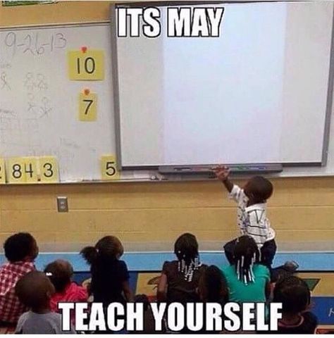 14 End of the Year Memes That Any Teacher Will Understand - Education to the Core Lounge Quotes, School Moments, Teacher Funnies, Teacher Humour, Teacher Memes Funny, Stupidly Funny, Classroom Humor, Teaching Memes, Classroom Memes