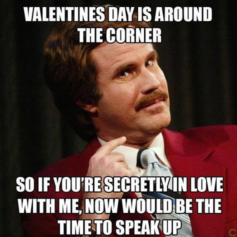 Valentine's Day is around the corner so if you're secretly in love with me, now would be the time to speak up.  ¬_¬ Funny Valentine Memes, Valentines Memes, Valentines Day Memes, Valentines For Singles, Ron Burgundy, Single Humor, Valentines Day Funny, Valentine Quotes, My Funny Valentine