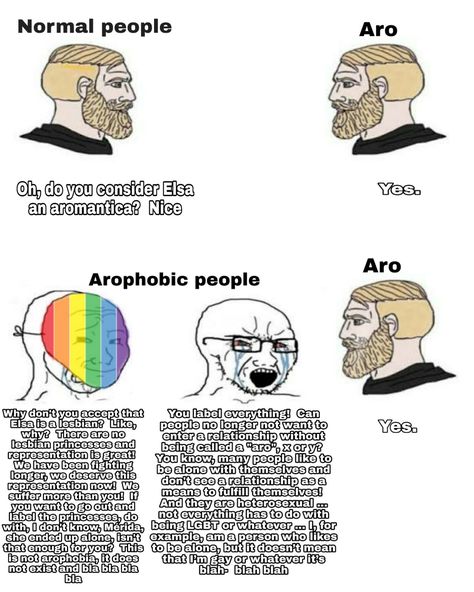 Aroace Humor, Aro Ace, Lgbt Humor, Lgbt Memes, Lgbtq Funny, Gay Memes, Lgbt Art, Types Of People, Lgbtq Pride