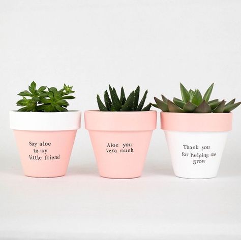 Blush Pink Decor, Kaktus Dan Sukulen, Plant Pot Design, Plant Pot Diy, Custom Planters, Painted Pots Diy, Painted Plant Pots, Painted Flower Pots, Herb Pots