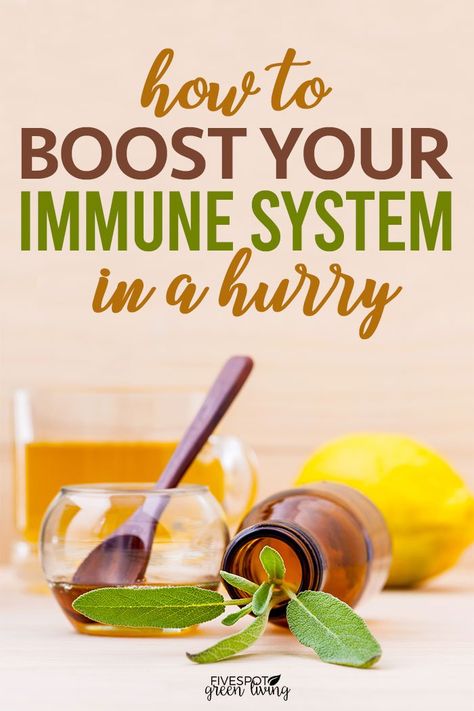 People are typically interested in just figuring out how they can get their immune system up as fast as possible, because they’re usually only looking for information on it when things are starting to go wrong. Lately, we all want to make sure that our bodies are working the best they can so we can fight off illness and viruses. Do you know how to boost your immune system quickly? #naturalhealth #immunesystem #naturalremedies Boost My Immune System, How To Boost Immunity, How To Build Immune System, Boosting Immune System, Build Immune System Fast, How To Boost Immune System, Boost Immune System Naturally, Build Up Immune System, Building Immune System